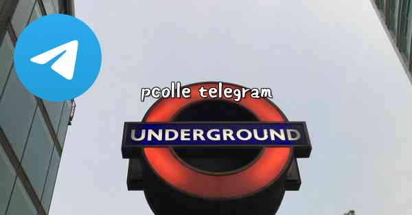 pcolle telegram - 電報Windowsチュートリアルチュートリアル