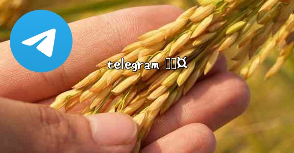 telegram ğŸ¤ - 電報Windowsチュートリアルチュートリアル