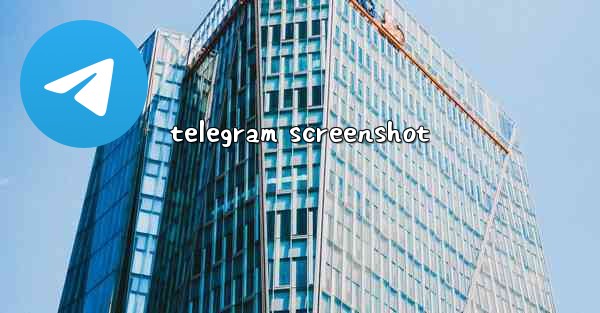 telegram screenshot - 電報Windowsチュートリアルチュートリアル