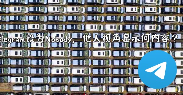 Telegram设为Nobody，他人视角显示何内容？ - 電報Windowsチュートリアルチュートリアル