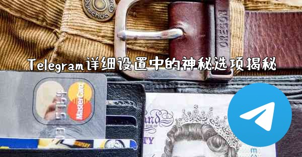 Telegram详细设置中的神秘选项揭秘 - 電報Windowsチュートリアルチュートリアル