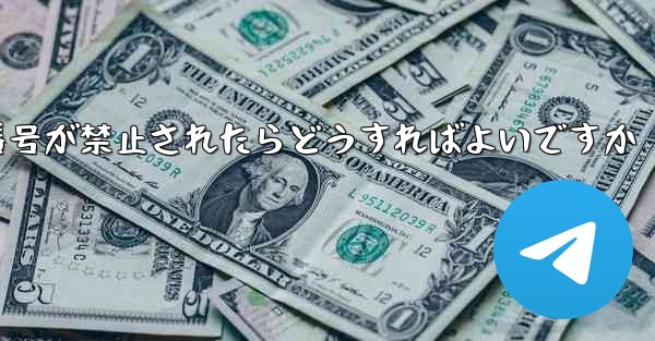 私の紙飛行機の番号が禁止されたらどうすればよいですか - 電報Windowsチュートリアルチュートリアル