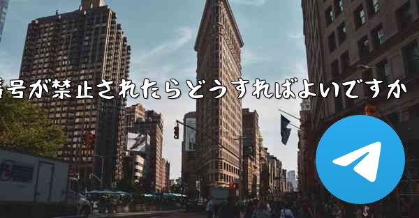 私の紙飛行機の携帯電話番号が禁止されたらどうすればよいですか - 電報Windowsチュートリアルチュートリアル