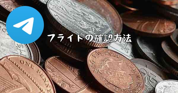フライトの確認方法 - 電報Windowsチュートリアルチュートリアル