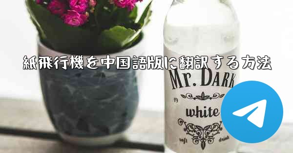 紙飛行機を中国語版に翻訳する方法 - 電報Windowsチュートリアルチュートリアル