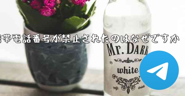 Paper Plane の携帯電話番号が禁止されたのはなぜですか - 電報Windowsチュートリアルチュートリアル