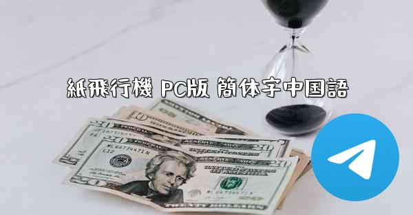 紙飛行機 PC版 簡体字中国語