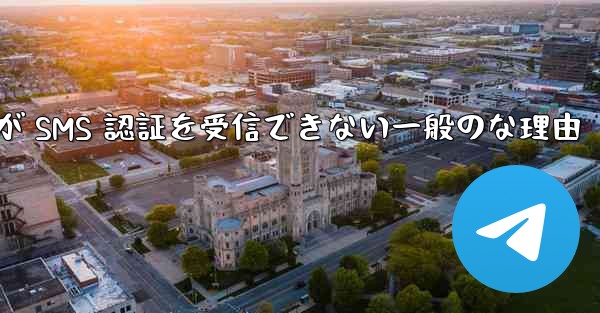 Paper Plane が SMS 認証を受信できない一般のな理由 - 電報Windowsチュートリアルチュートリアル