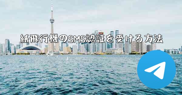 紙飛行機のSMS認証を受ける方法