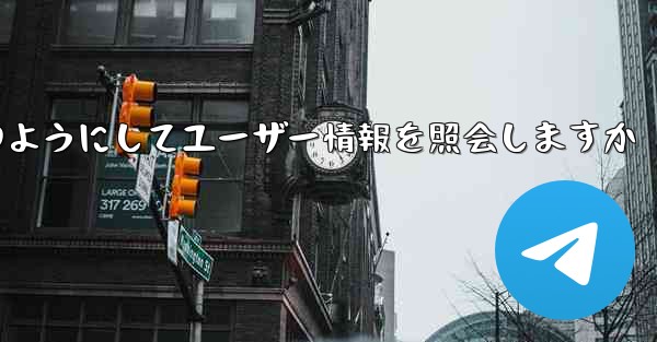 Paper Plane はどのようにしてユーザー情報を照会しますか - 電報Windowsチュートリアルチュートリアル