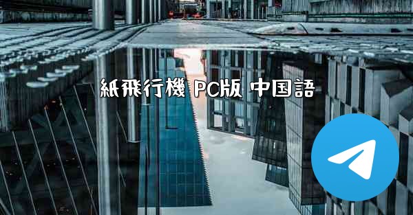 紙飛行機 PC版 中国語