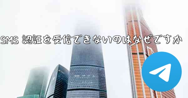 Paper Plane が SMS 認証を受信できないのはなぜですか - 電報Windowsチュートリアルチュートリアル