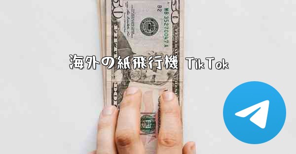 海外の紙飛行機 TikTok - 電報Windowsチュートリアルチュートリアル