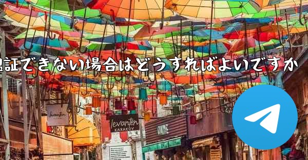 Paper Plane の携帯電話番号が認証できない場合はどうすればよいですか - 電報Windowsチュートリアルチュートリアル