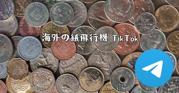 海外の紙飛行機 TikTok - 電報Windowsチュートリアルチュートリアル