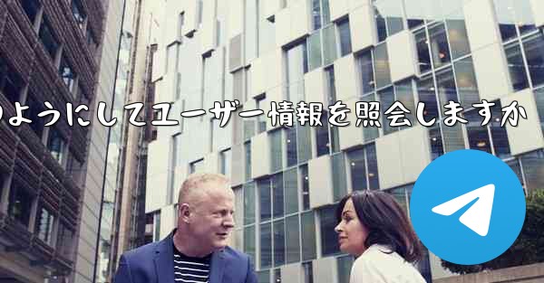 Paper Plane はどのようにしてユーザー情報を照会しますか - 電報Windowsチュートリアルチュートリアル