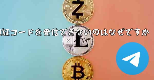Paper Plane が SMS 認証コードを受信できないのはなぜですか - 電報Windowsチュートリアルチュートリアル