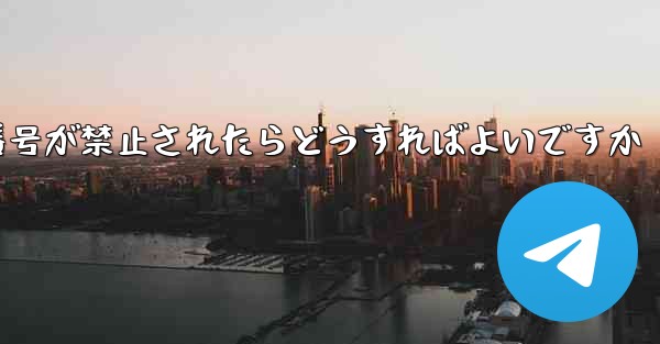 私の紙飛行機の携帯電話番号が禁止されたらどうすればよいですか - 電報Windowsチュートリアルチュートリアル