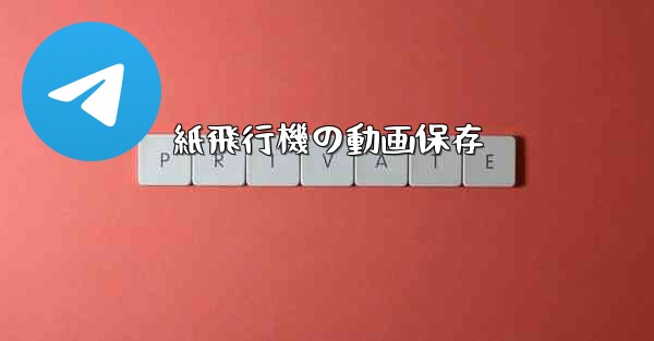 紙飛行機の動画保存 - 電報Windowsチュートリアルチュートリアル