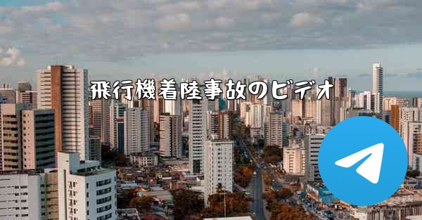 飛行機着陸事故のビデオ - 電報Windowsチュートリアルチュートリアル