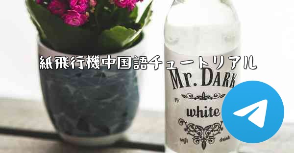紙飛行機中国語チュートリアル - 電報Windowsチュートリアルチュートリアル