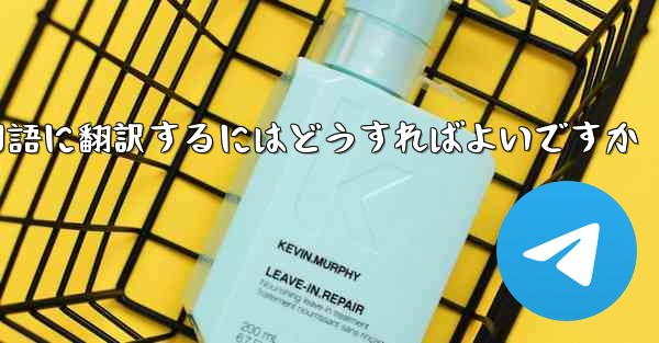 中国語版の Apple Paper Plane を中国語に翻訳するにはどうすればよいですか - 電報Windowsチュートリアルチュートリアル