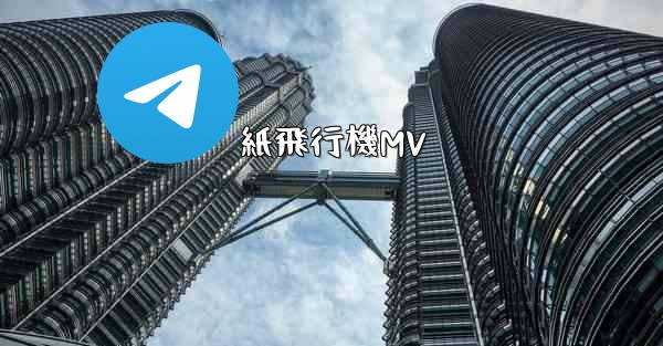 紙飛行機MV - 電報Windowsチュートリアルチュートリアル