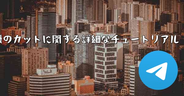ティッシュペーパー飛行機のカットに関する詳細なチュートリアル - 電報Windowsチュートリアルチュートリアル