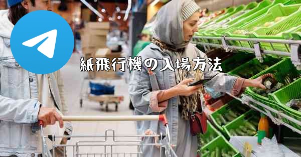 紙飛行機の入場方法 - 電報Windowsチュートリアルチュートリアル