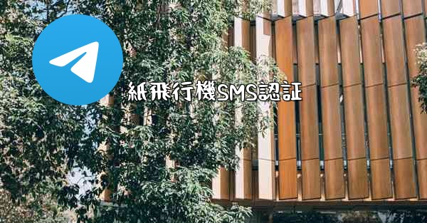 紙飛行機SMS認証 - 電報Windowsチュートリアルチュートリアル