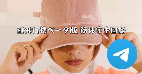 紙飛行機ベータ版 簡体字中国語 - 電報Windowsチュートリアルチュートリアル