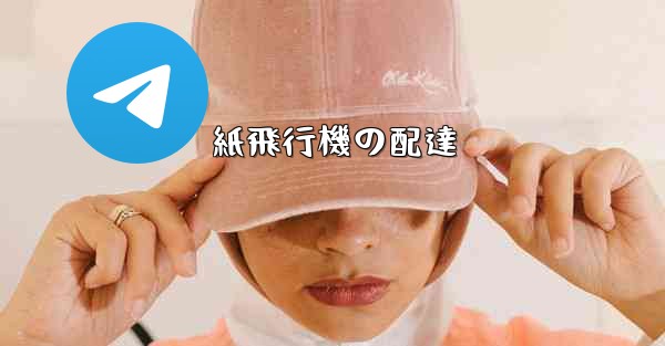 紙飛行機の配達 - 電報Windowsチュートリアルチュートリアル