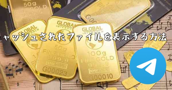 紙飛行機でキャッシュされたファイルを表示する方法 - 電報Windowsチュートリアルチュートリアル