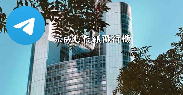 完成した紙飛行機