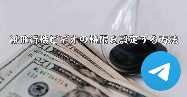 紙飛行機ビデオの権限を設定する方法 - 電報Windowsチュートリアルチュートリアル