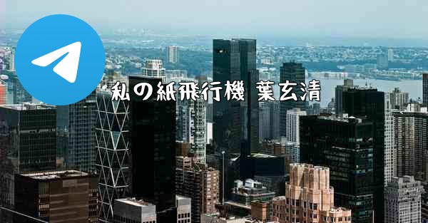 私の紙飛行機 葉玄清