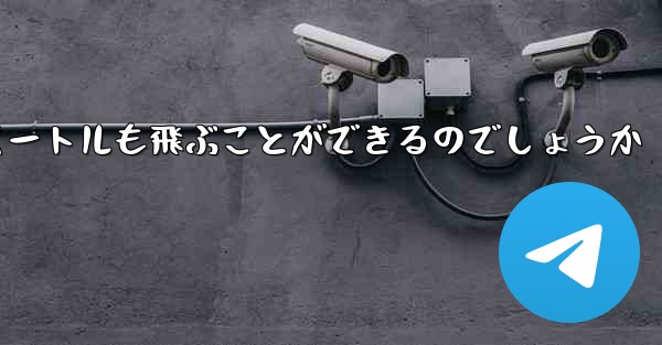 紙飛行機はどうやって100メートルも飛ぶことができるのでしょうか