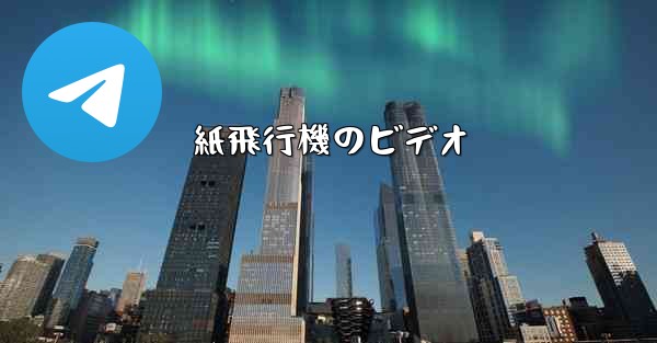 紙飛行機のビデオ