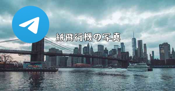 紙飛行機の写真 - 電報Windowsチュートリアルチュートリアル