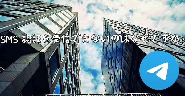 Paper Plane が SMS 認証を受信できないのはなぜですか - 電報Windowsチュートリアルチュートリアル