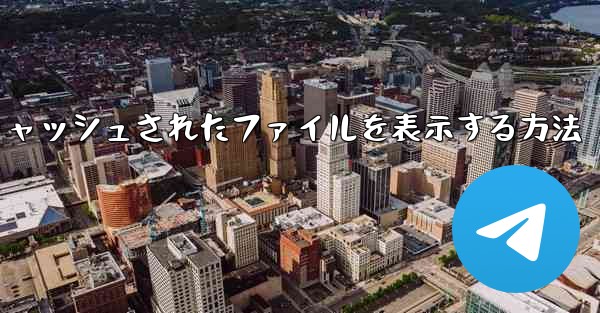 紙飛行機でキャッシュされたファイルを表示する方法 - 電報Windowsチュートリアルチュートリアル