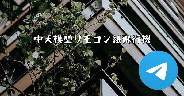 中天模型リモコン紙飛行機